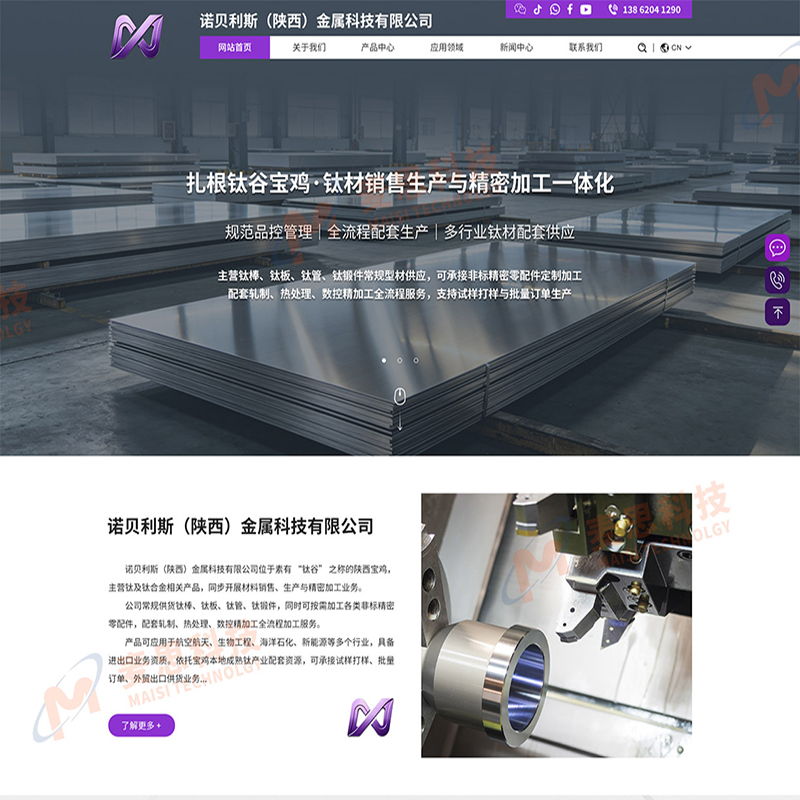 诺贝利斯（陕西）金属科技有限公司